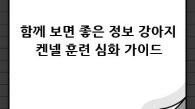 강아지 켄넬 훈련: 행복한 동거의 시작