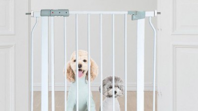 댕댕이 행복 펜스! 득템 후기와 꿀팁 대방출!🐶✨